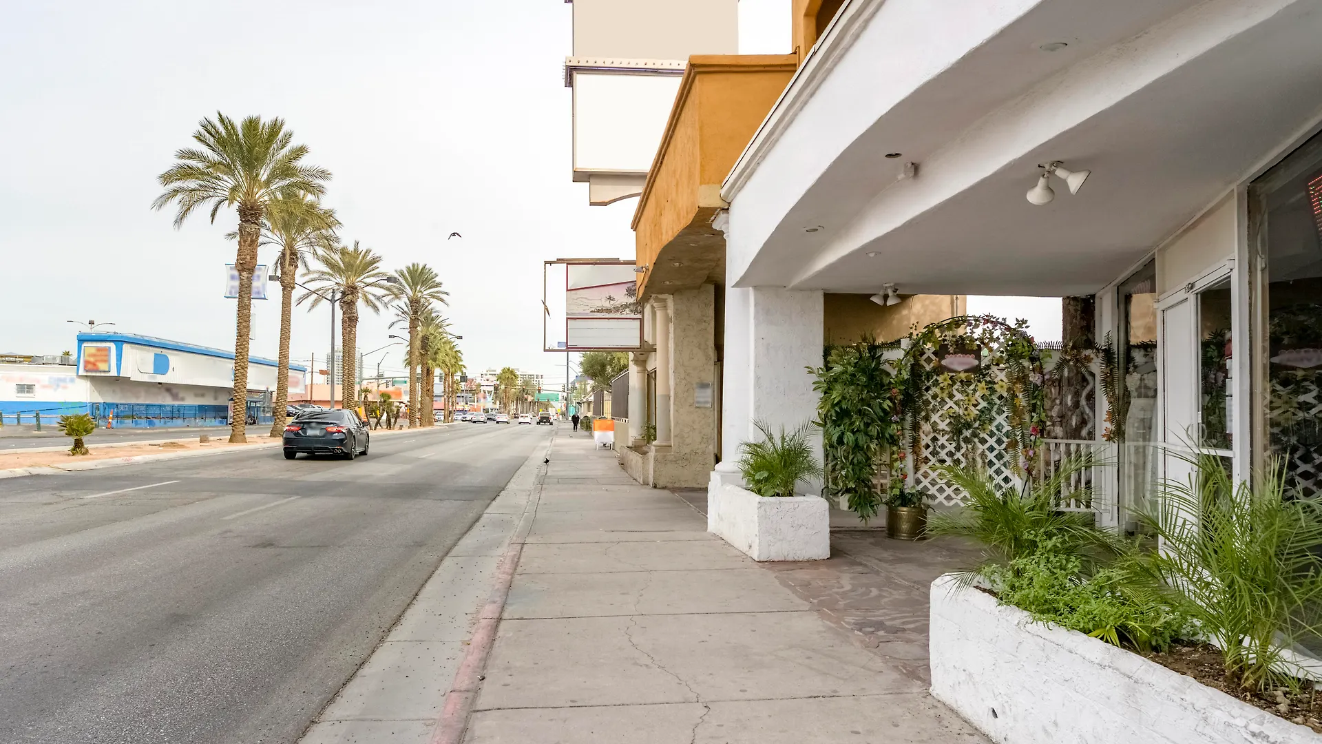 Oyo Oasis Motel Las Vegas I-15 Hotel